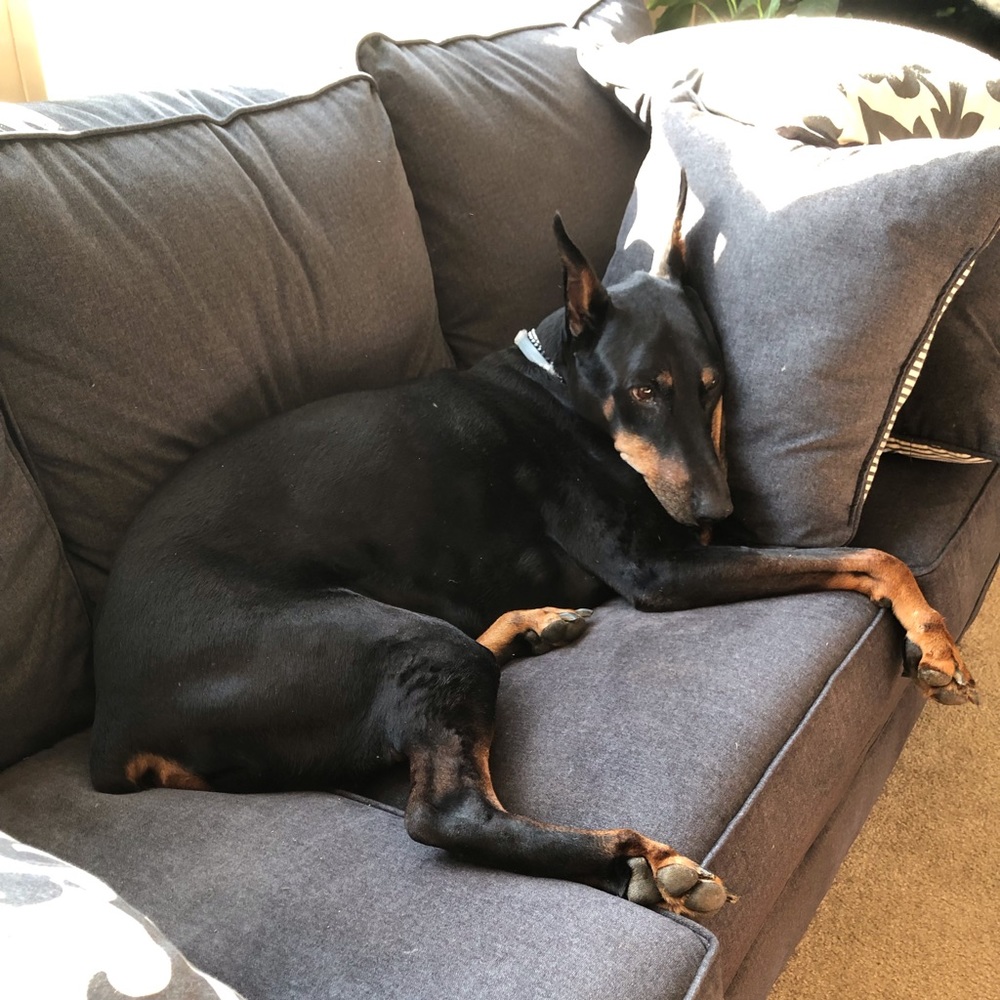 Meet your Posher, Laura